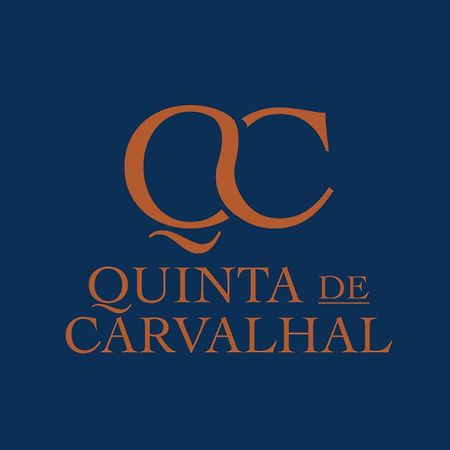 Quinta De Carvalhal - Casa Da Vinha Villa Guimaraes Exterior photo