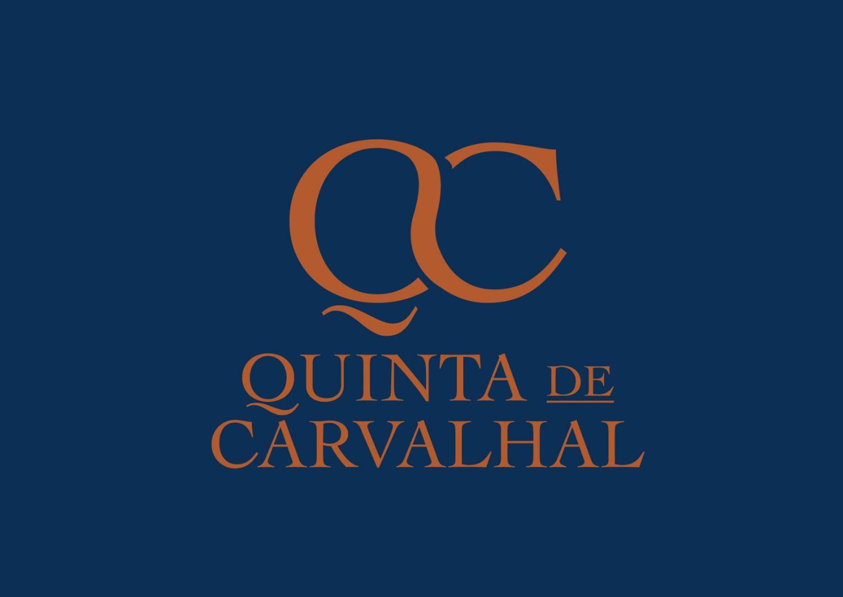 Quinta De Carvalhal - Casa Da Vinha Villa Guimaraes Exterior photo