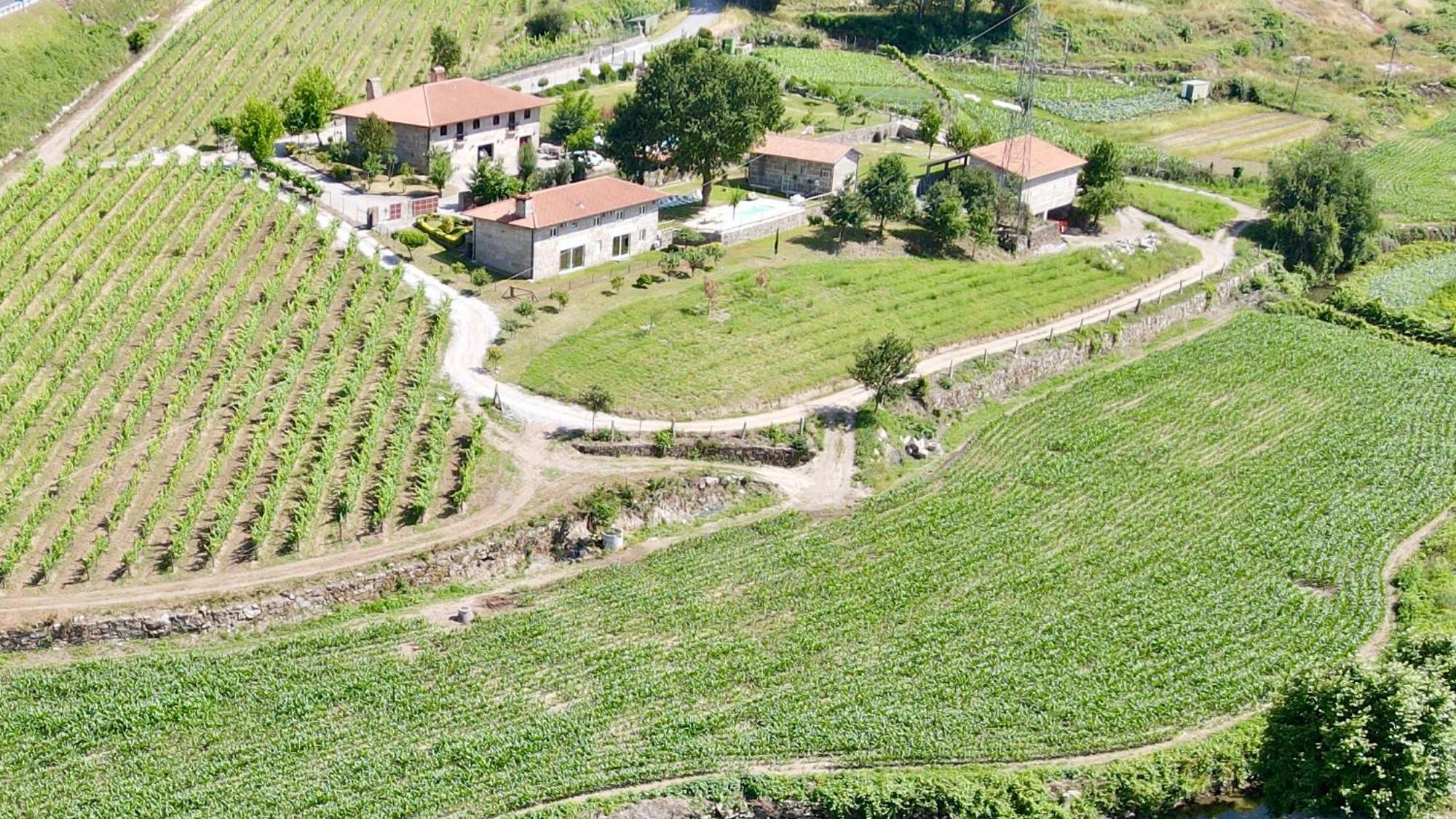Quinta De Carvalhal - Casa Da Vinha Villa Guimaraes Exterior photo